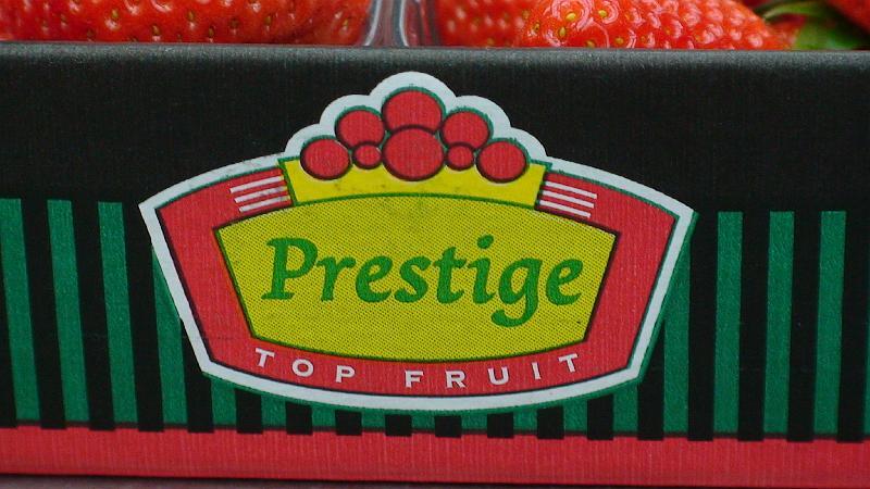 Elianny eerste veiling Fruitmasters Koningsplant john ard leon Vissers aardbeiplanten BV America (16).JPG